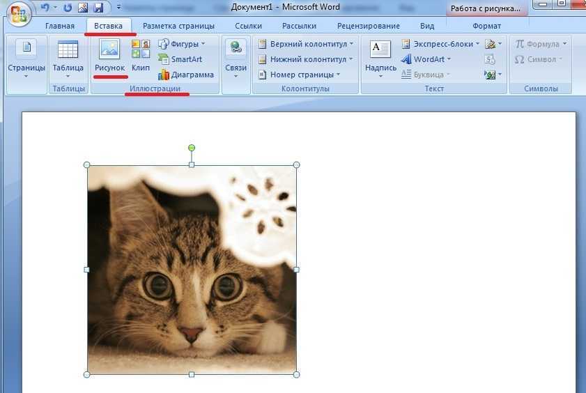 Преобразуем оригинальный дизайн в шаблон бланка microsoft word | разработка технической документации