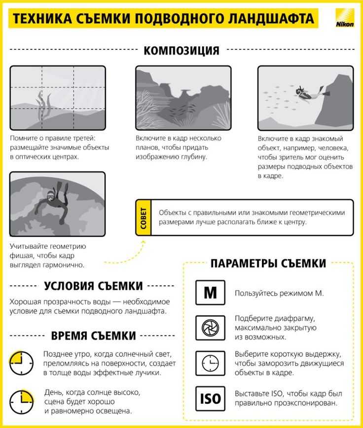 Баланс белого в фотоаппарате: как настроить