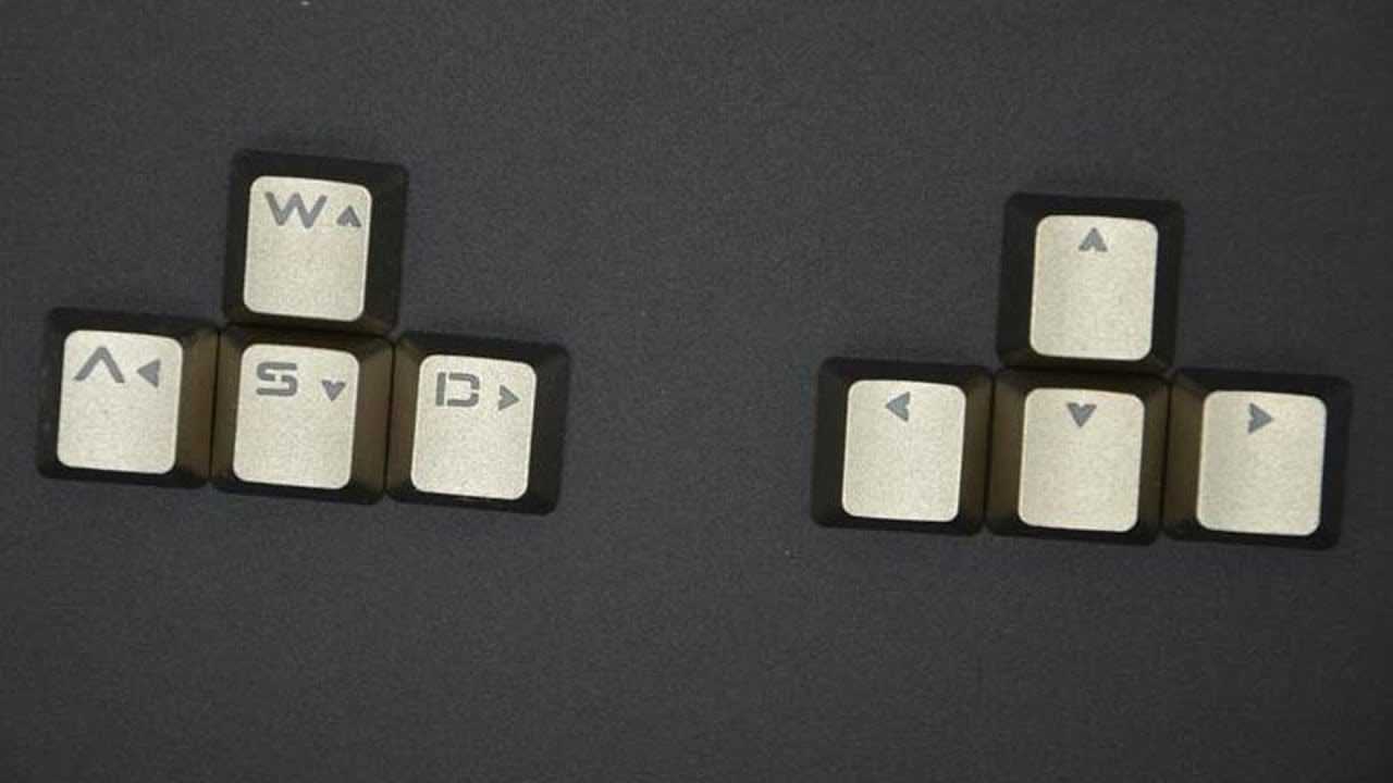 Wasd.tv - что это за сервис, как скачать и пользоваться
