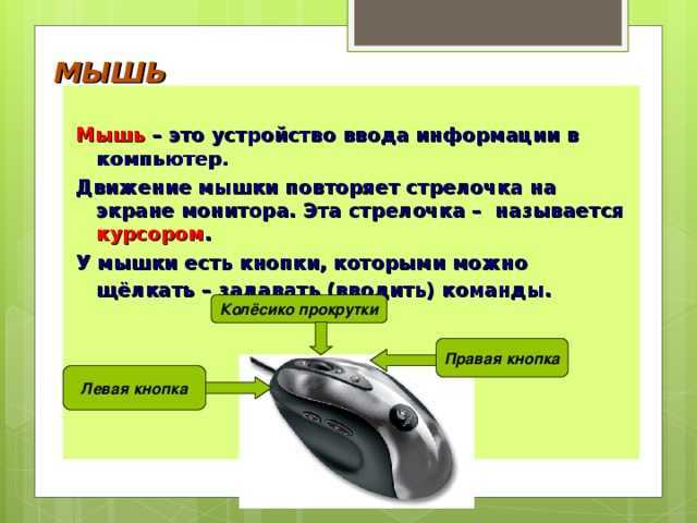 Настраиваем в windows 10 мышку