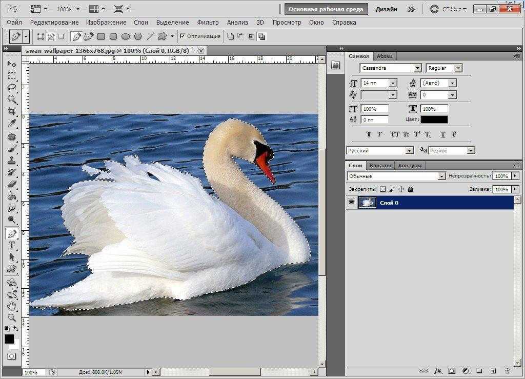 Контуры в фотошоп. построение и модификация.