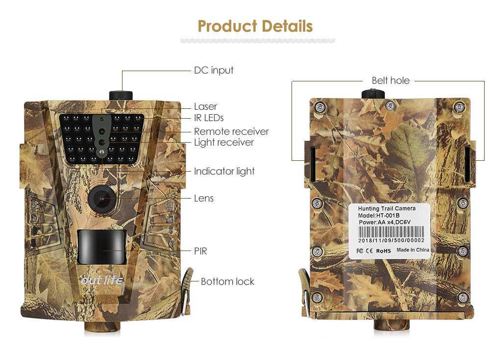 How to set up a trail camera: 3 essential steps