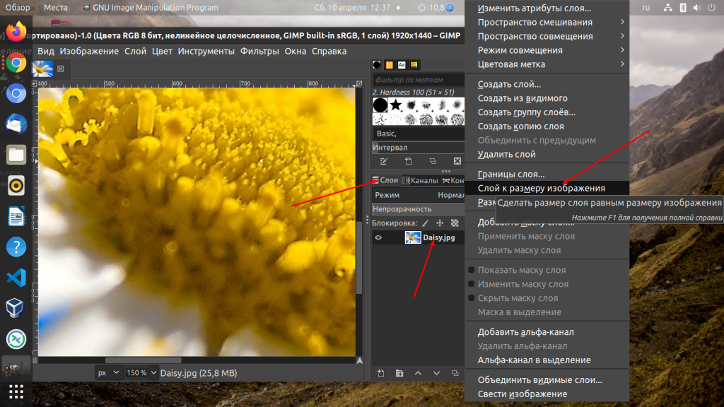 Как изменить размер холста в adobe 2023 цифровые тренды