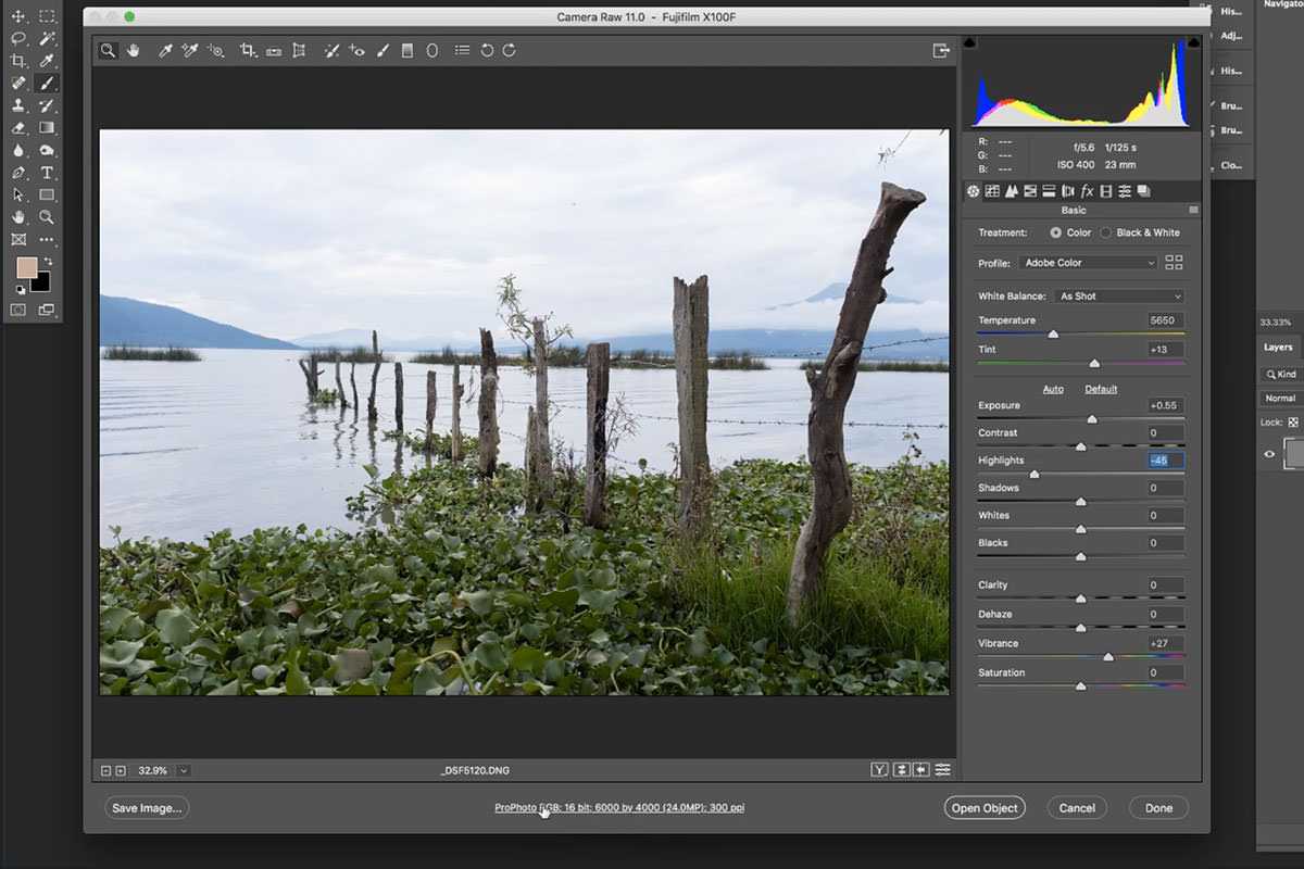 Как использовать camera raw tools для разработки цифровых фотографий