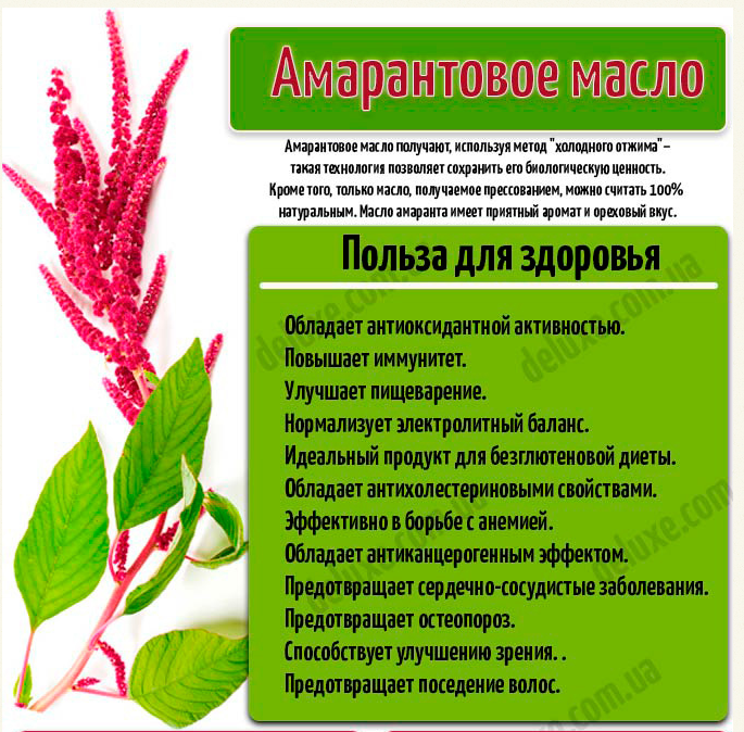 Амарант - сбор и заготовка урожая Сбор урожая После посадки и успешного выращивания наступает наконец долгожданное время – время сборки урожая Как