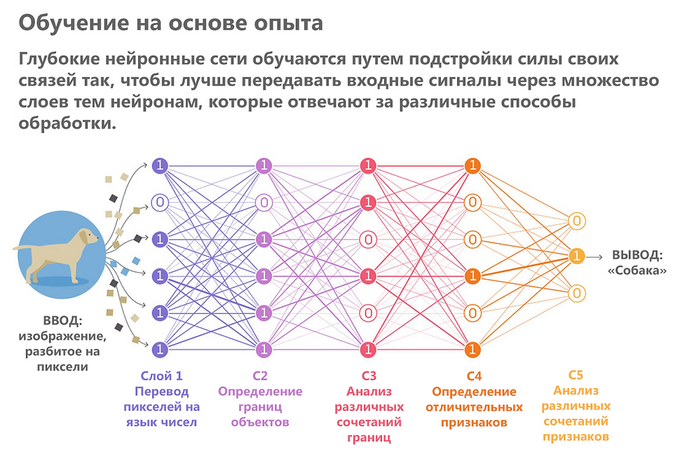 Заливка выделенной области / заливка с учетом содержимого