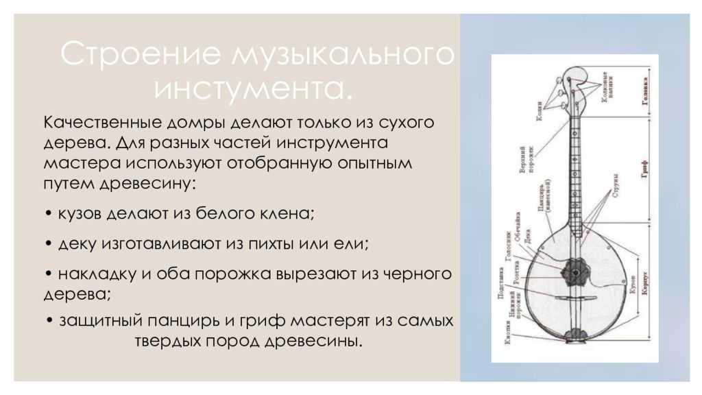 Домра интернет тарифы. Строение домры. Домра презентация. Домра строение инструмента.