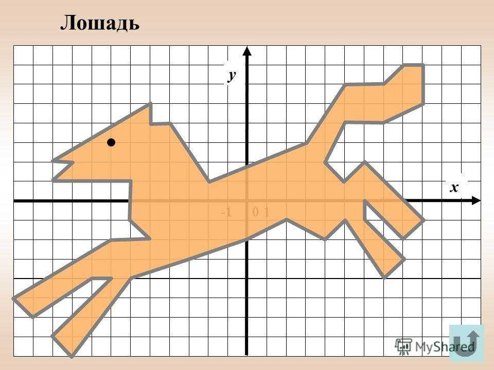 Рисунки из окружностей на координатной плоскости