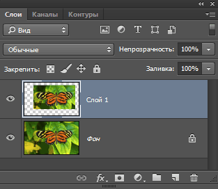 Вставка 
  в выделенную область фотошопа
