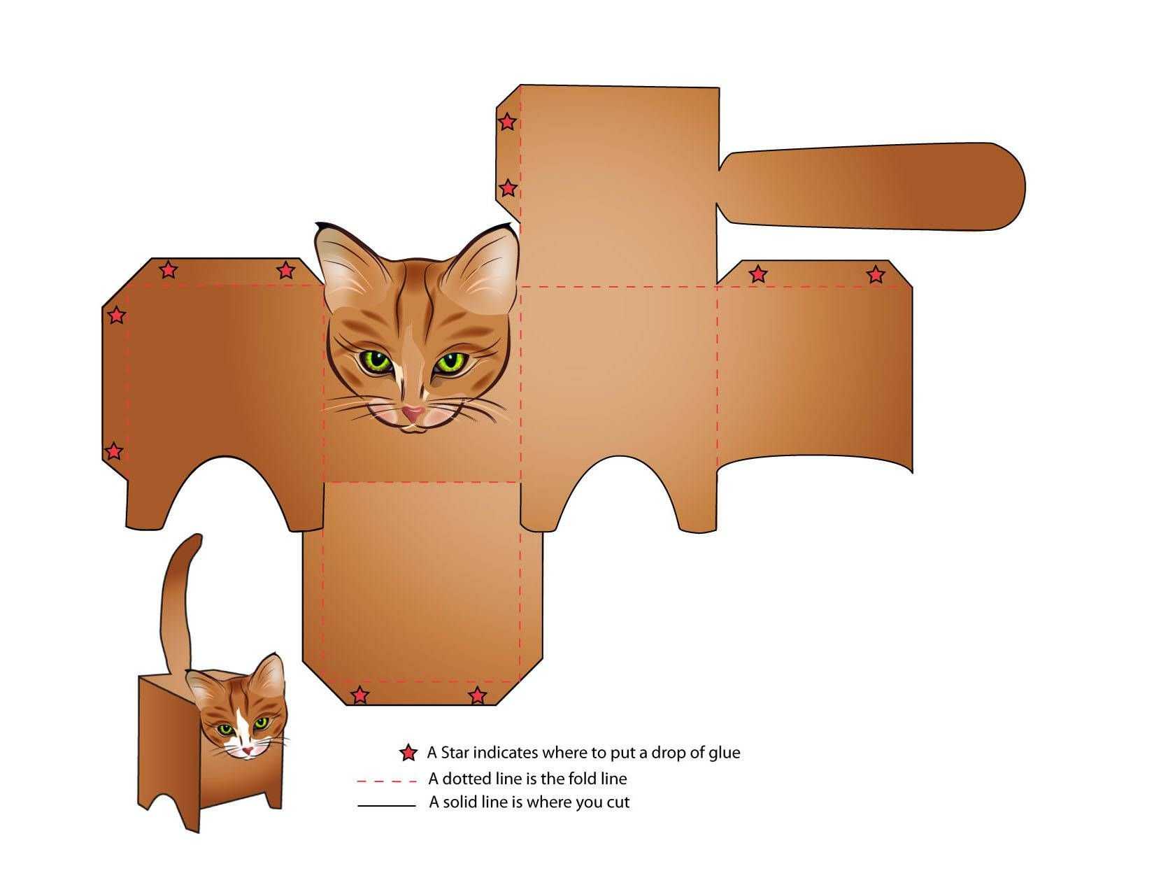 Opencat, the diy pet robot for cat lovers