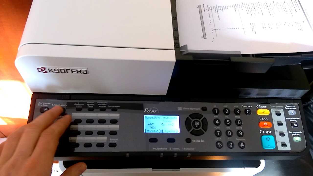 Kyocera m2030dn и m2530dn сканирование по сети