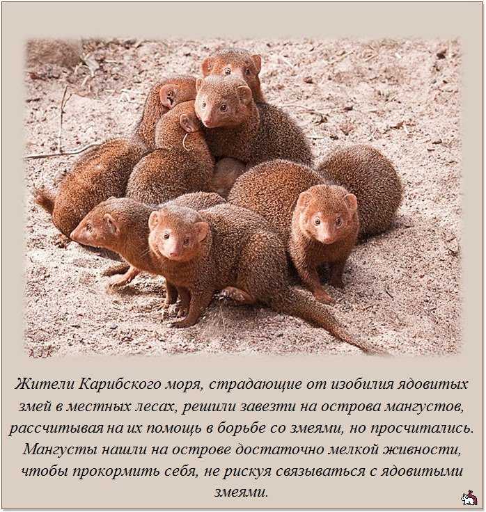 Здоровый образ жизни (зож)