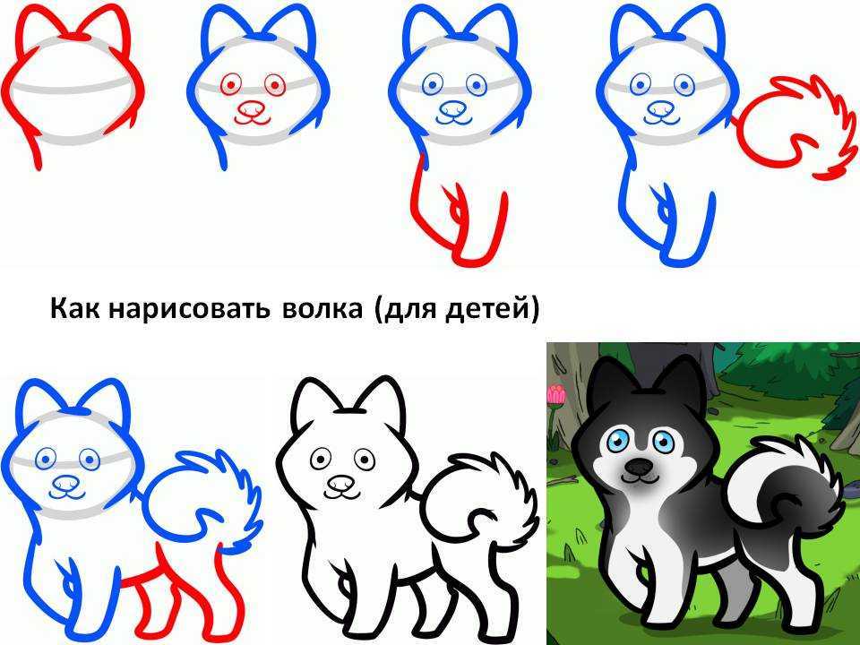 Как нарисовать волка поэтапно карандашом легко и красиво для начинающих