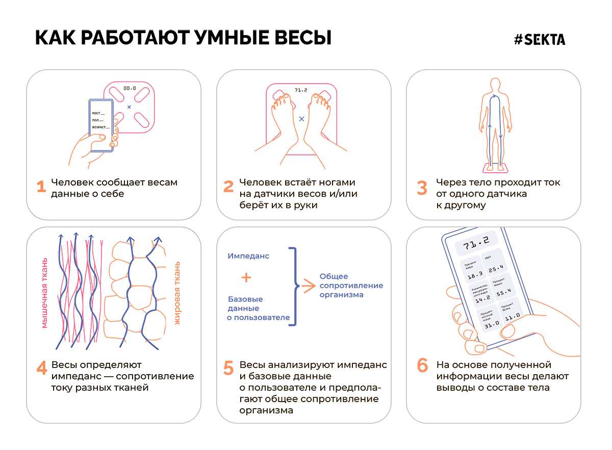 Как проверить, правильно ли работают весы: 12 шагов