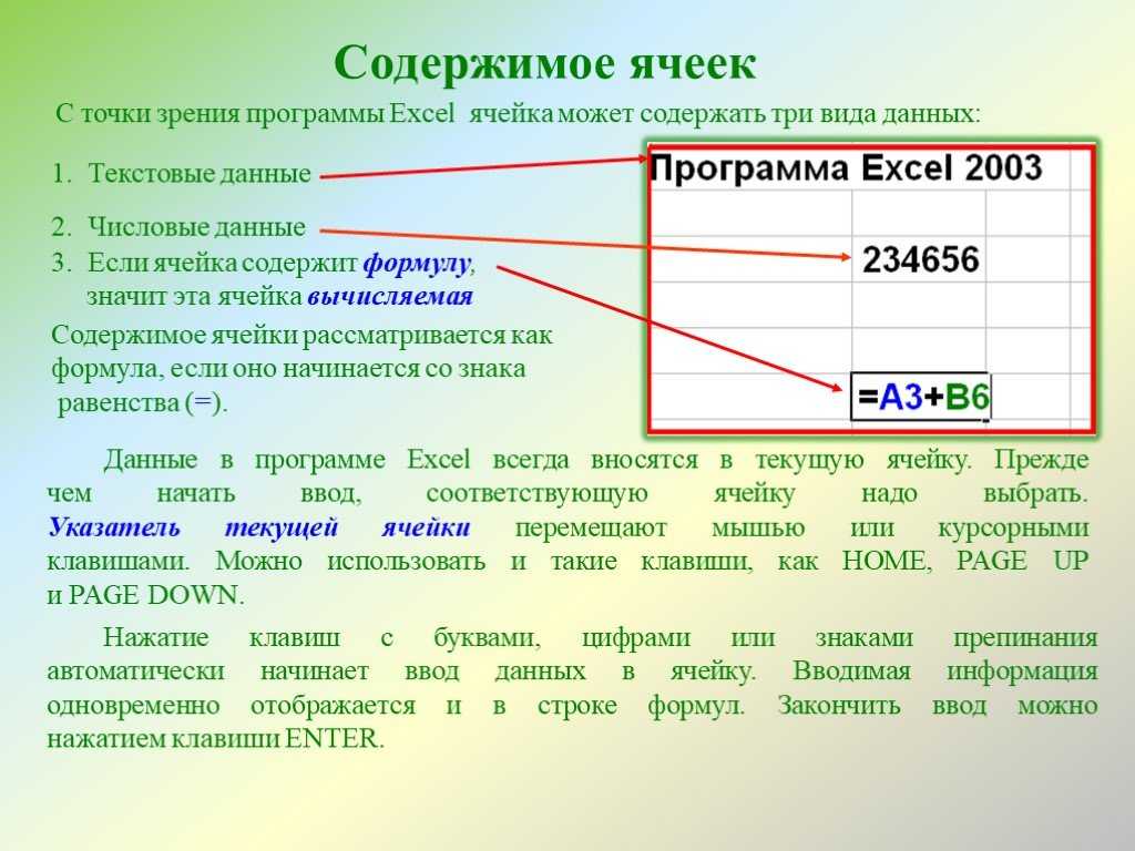 Какие данные могут содержаться в ячейке текст формула диаграмма картинка