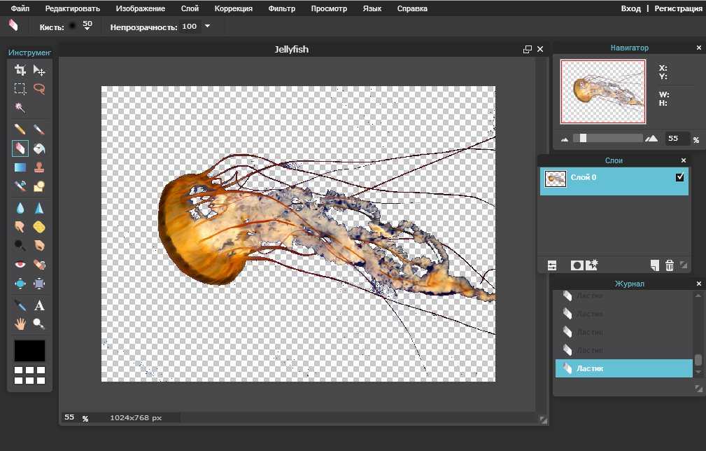 Как заменить или обесцветить фон изображения в paint.net