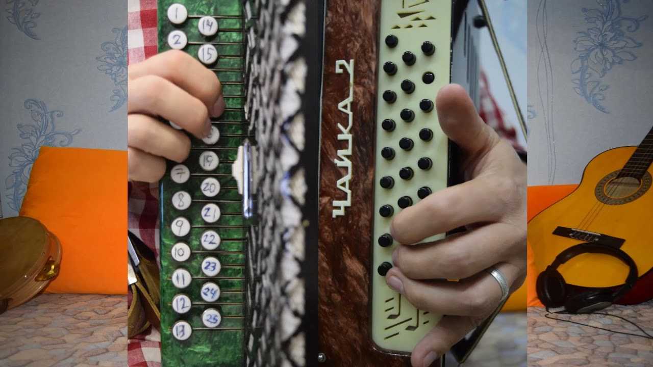 Учимся играть на гармони. урок2 знакомство с левой клавиатурой.