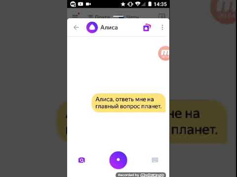 Как научить алису материться на андроид