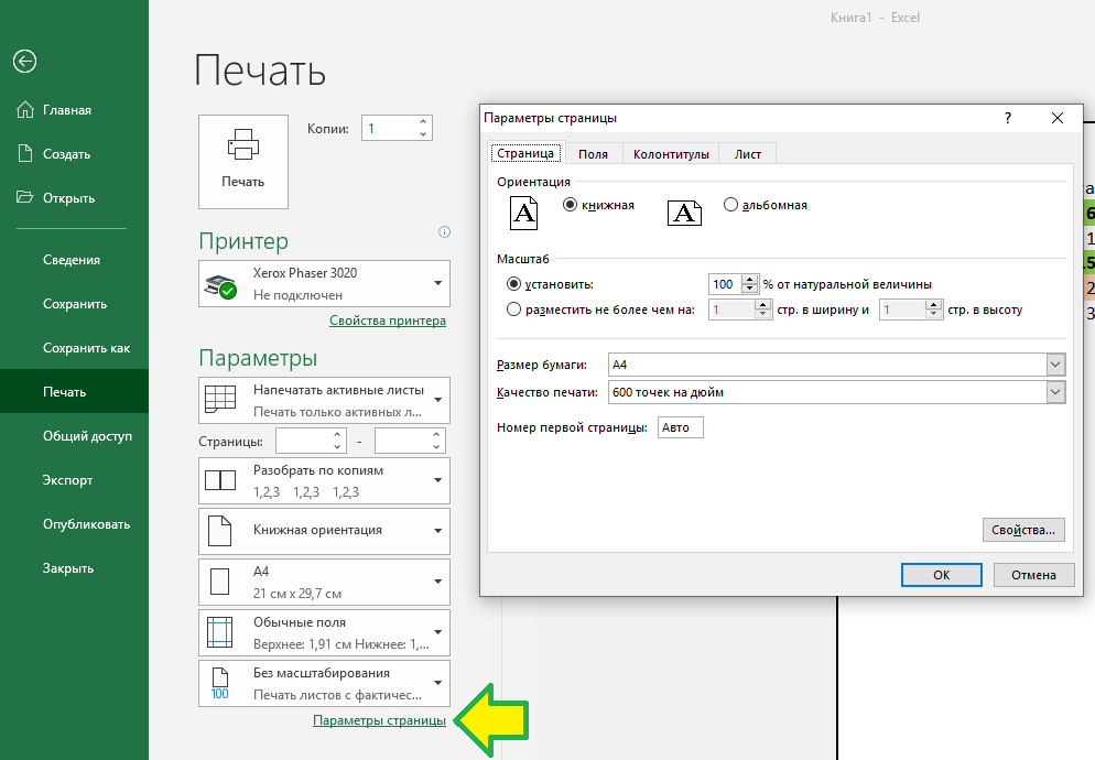 Excel только для чтения. Параметры страницы в excel. Параметры страницы в экселе. Эксель параметры страницы для печати. Распечатка в экселе.