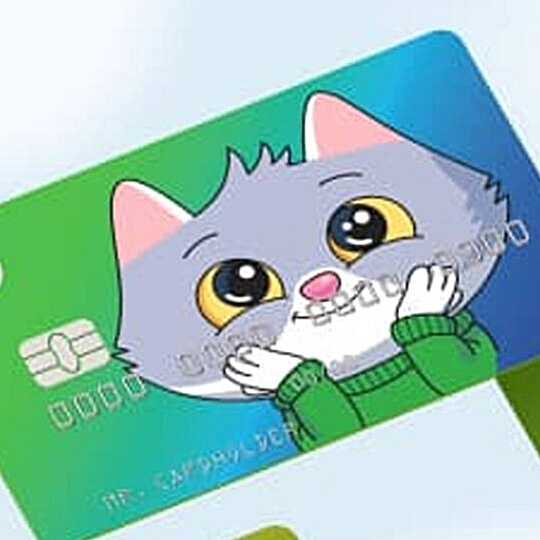 Пошаговая инструкция по использованию карты сберkids