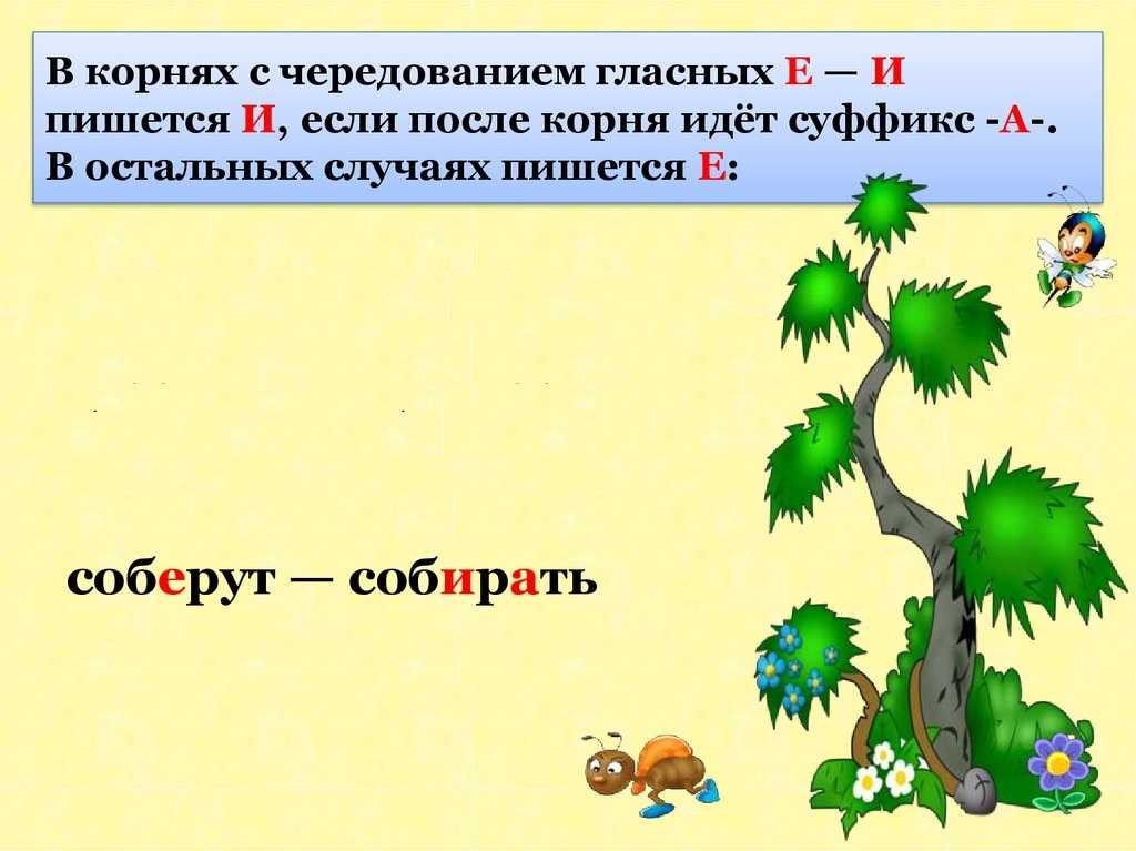Как правильно пишется слово соберешь: правописание, правило, примеры, морфологический разбор? - правильно писать "соберешь"!