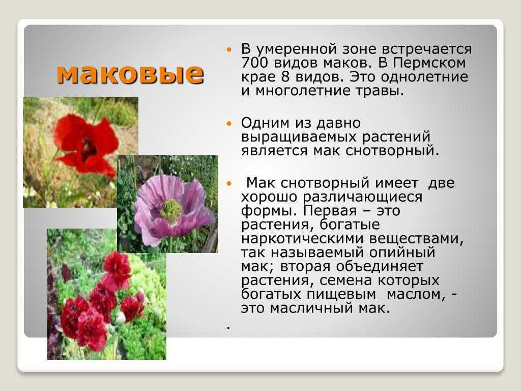 Способы консервирования. консервирование. большая книга рецептов
