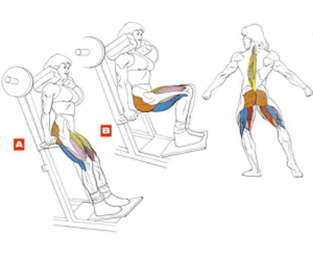 Тренировка ног: 9 самых недооцененных советов - dailyfit