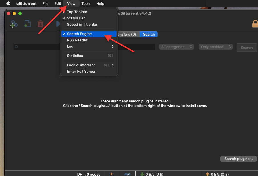 Qbittorrent setup