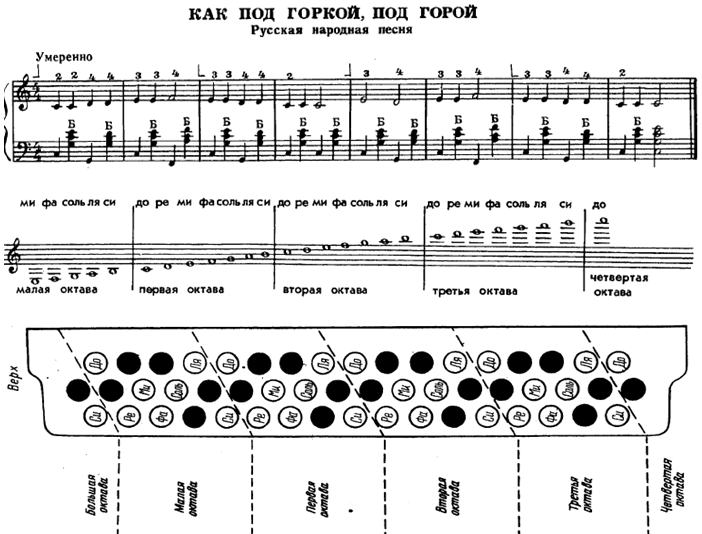 Как играть на гармошке для начинающих схемы с подробным описанием частушки