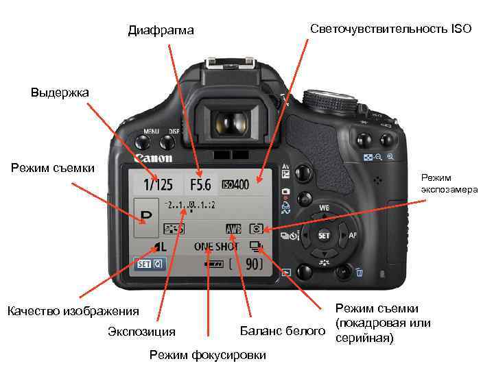 Никон д3100. как настроить фотоаппарат.