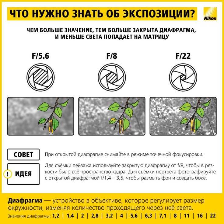 Настройка баланса белого в фотокамере для новичков