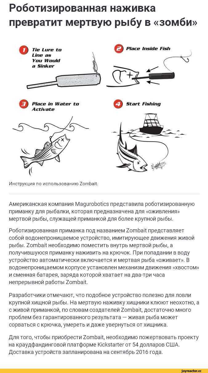 Как вернуть работоспособность вибратора: пошаговая инструкция