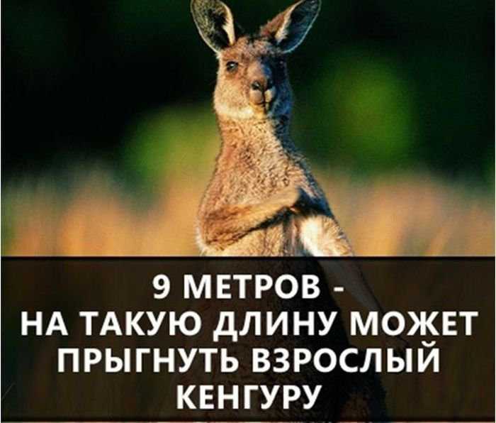 Уроки photoshop - как самому в фотошопе сделать аватарку с искрами