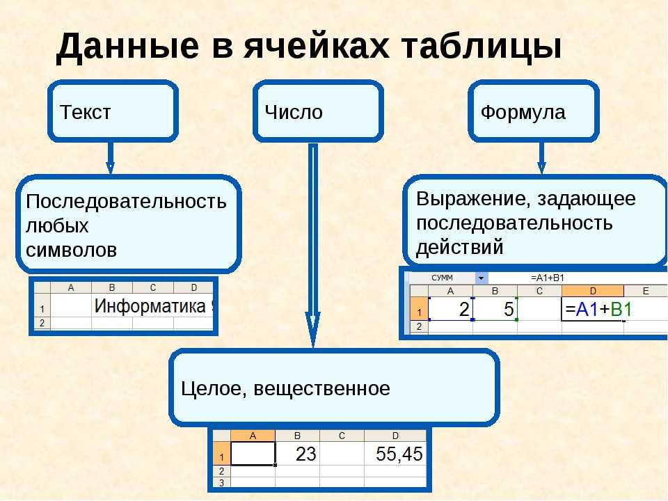 Какие данные могут содержаться в ячейке а текст б формула в диаграмма г картинка