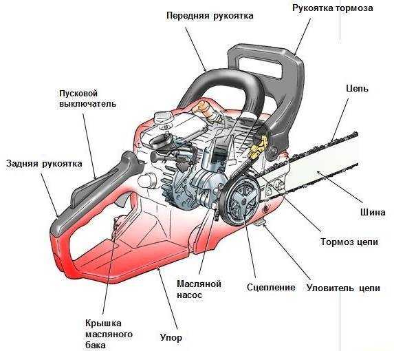 Памятка пользователю бензопилы. правила эксплуатации для любителей и профессионалов