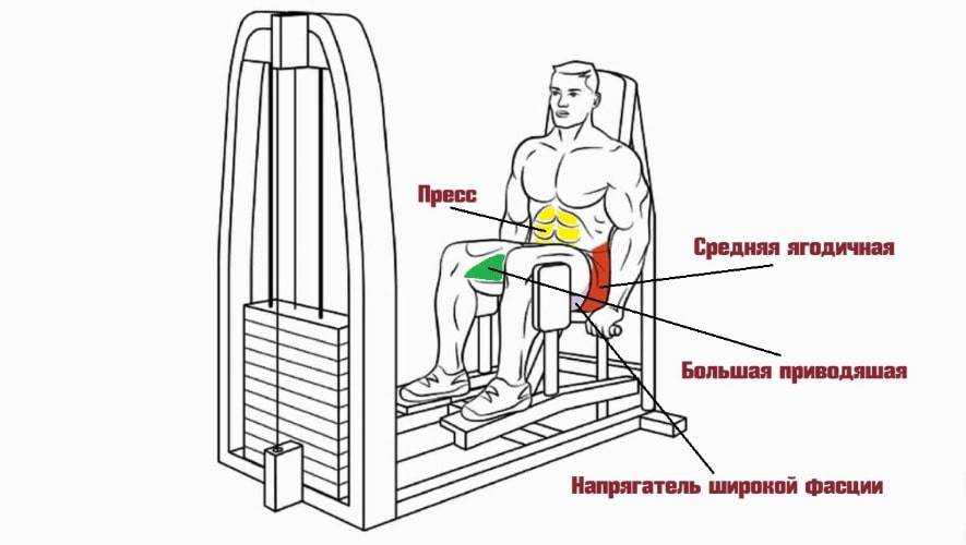 Разведение ног в тренажере - шлифовка формы ягодиц