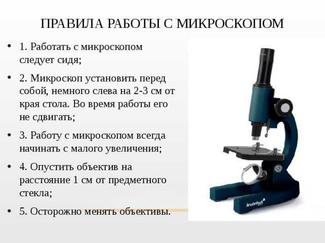 ▷ zoom&joy levenhuk 2st manual, zoom&joy levenhuk 2st microscope operation and user’s manual | guidessimo.com