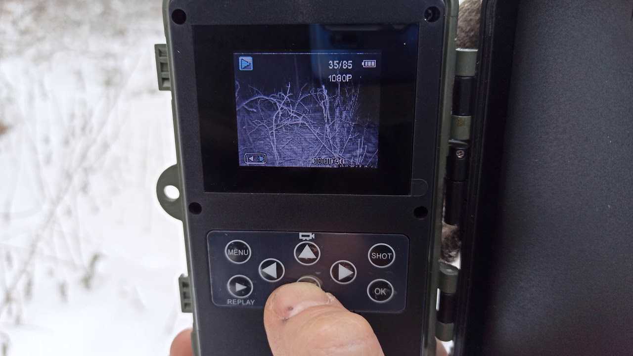 Фотоловушка филин mms