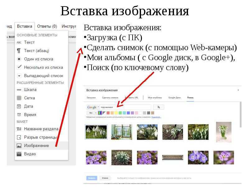 Говорит юрист: откуда брать картинки, чтобы не попасть под суд, и как защитить свои авторские права
